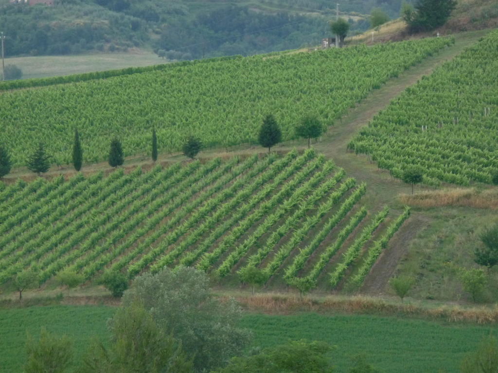 Villa Azienda Agricola Ed Agrituristica Cafaggio San Miniato Exterior foto